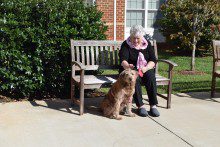 a woman sitting on a bench with a dog